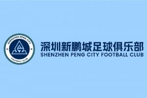 关于深圳新鹏城主场比赛调整及票务处理办法的公告
